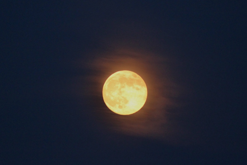 Full Moon over Buffalo NY