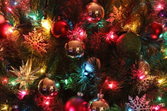 Christmas Tree close up